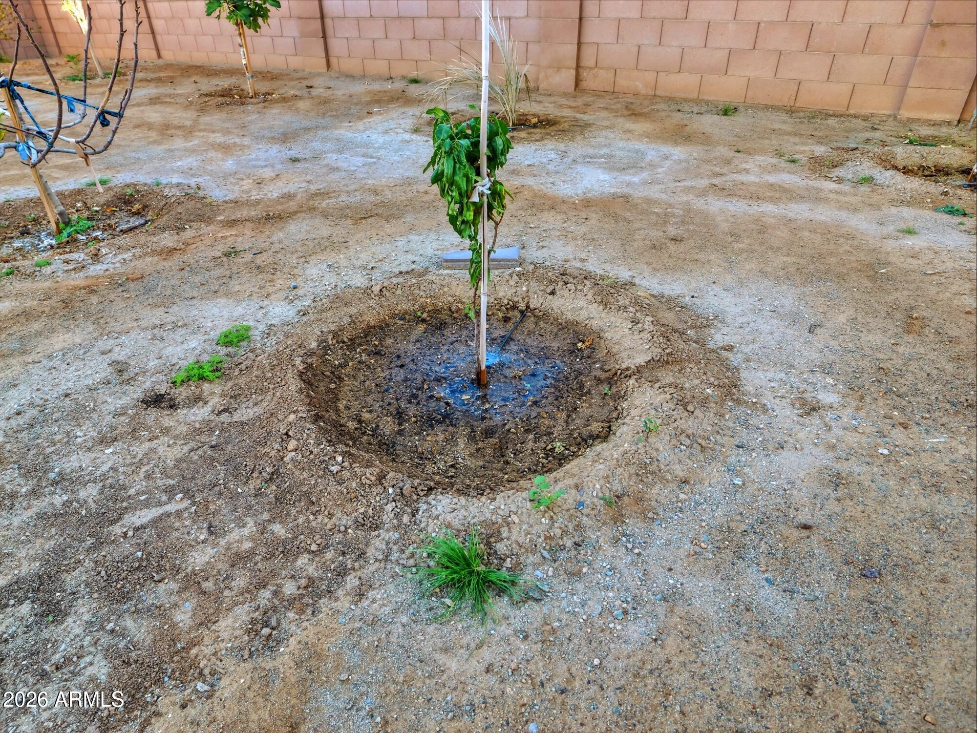 5320 W HARDTACK Trail