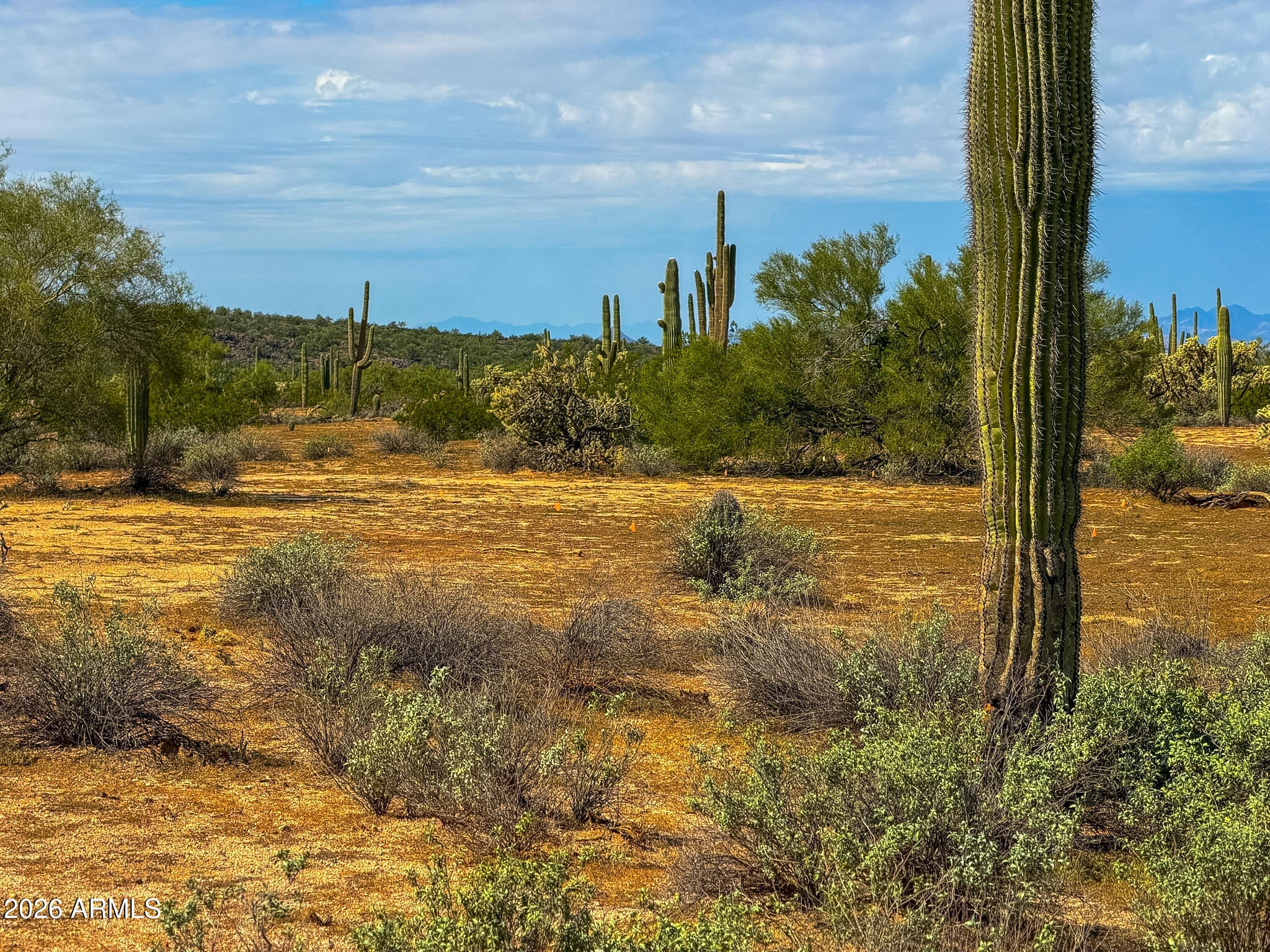 0 N Hohokam Rd Lot 2 1.4 Acres -- -