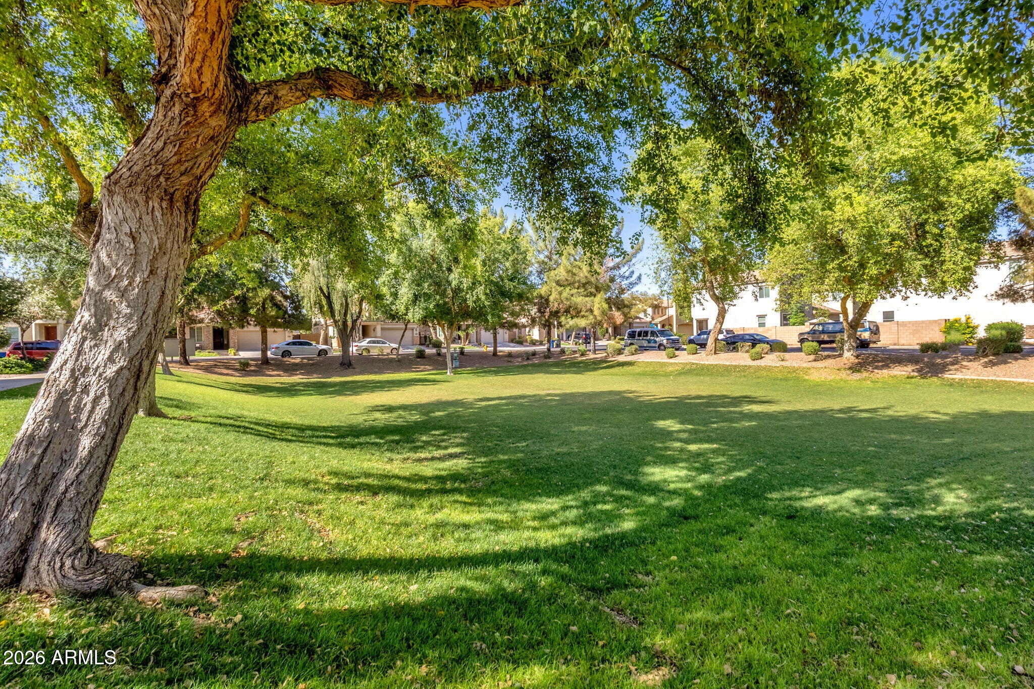 WILLOWS - Residential