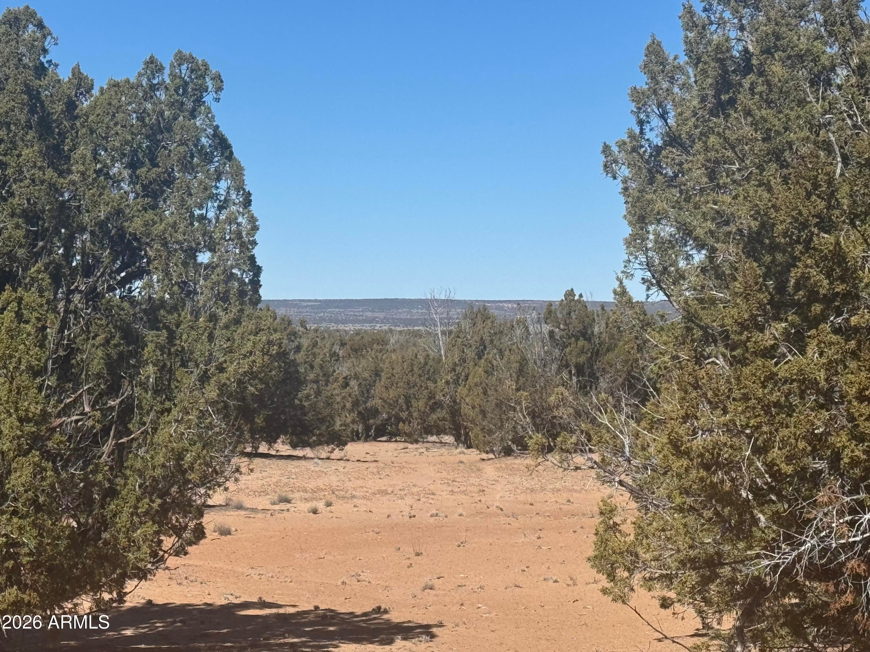 Lot 52 Witch Well Ranchos -- 52