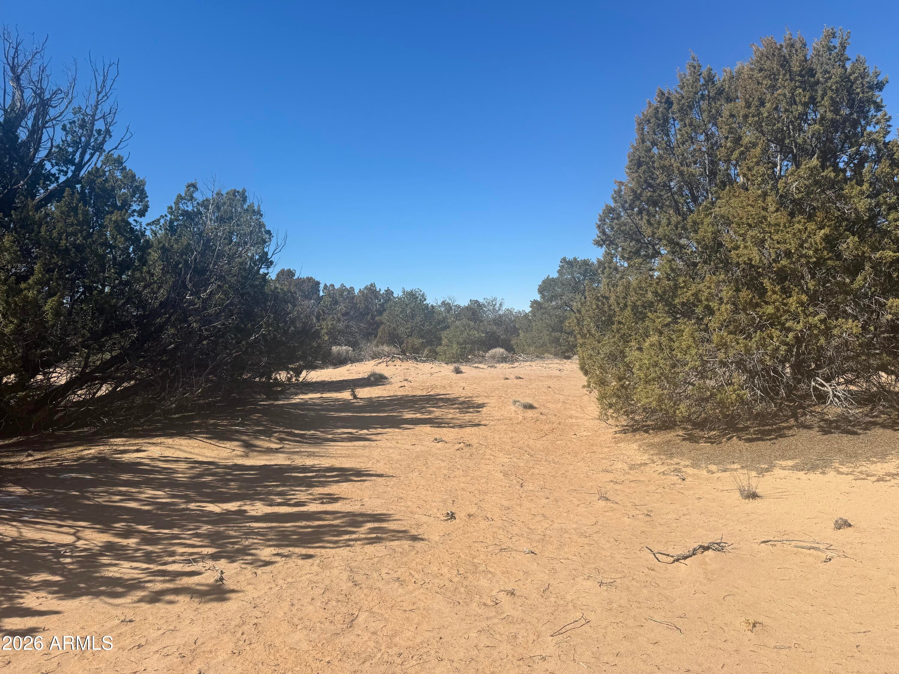 Lot 52 Witch Well Ranchos -- 52