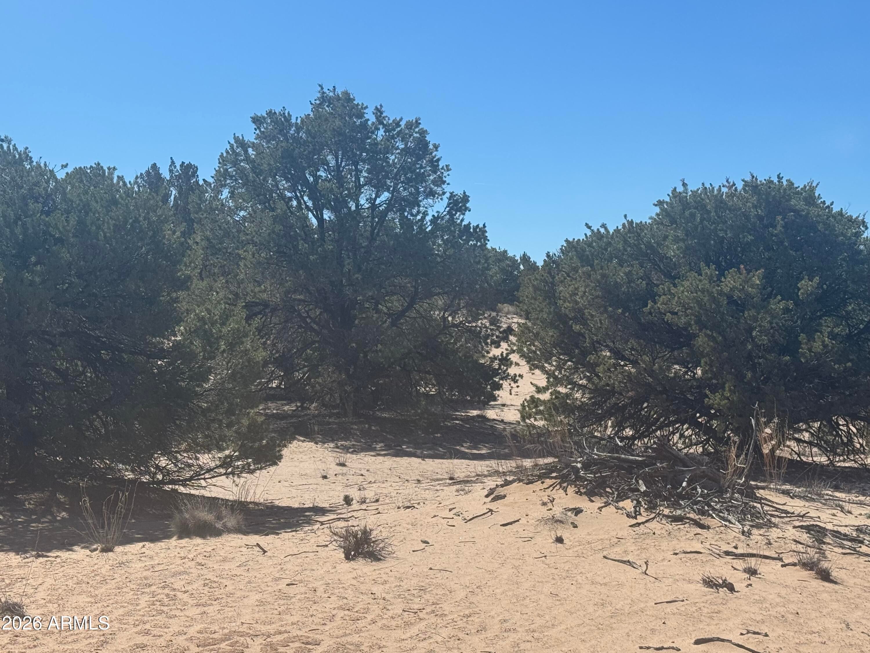 Lot 52 Witch Well Ranchos -- 52
