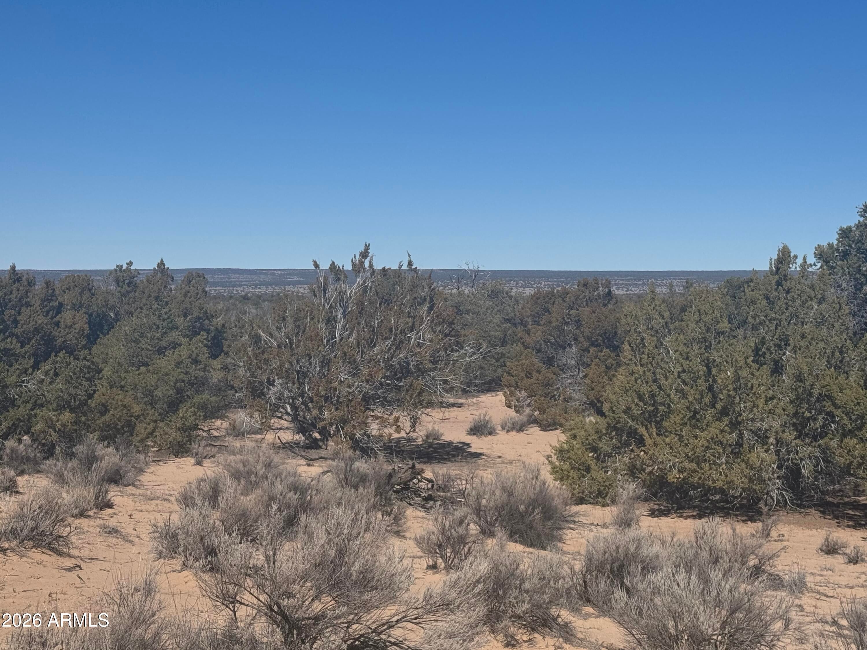 Lot 52 Witch Well Ranchos -- 52