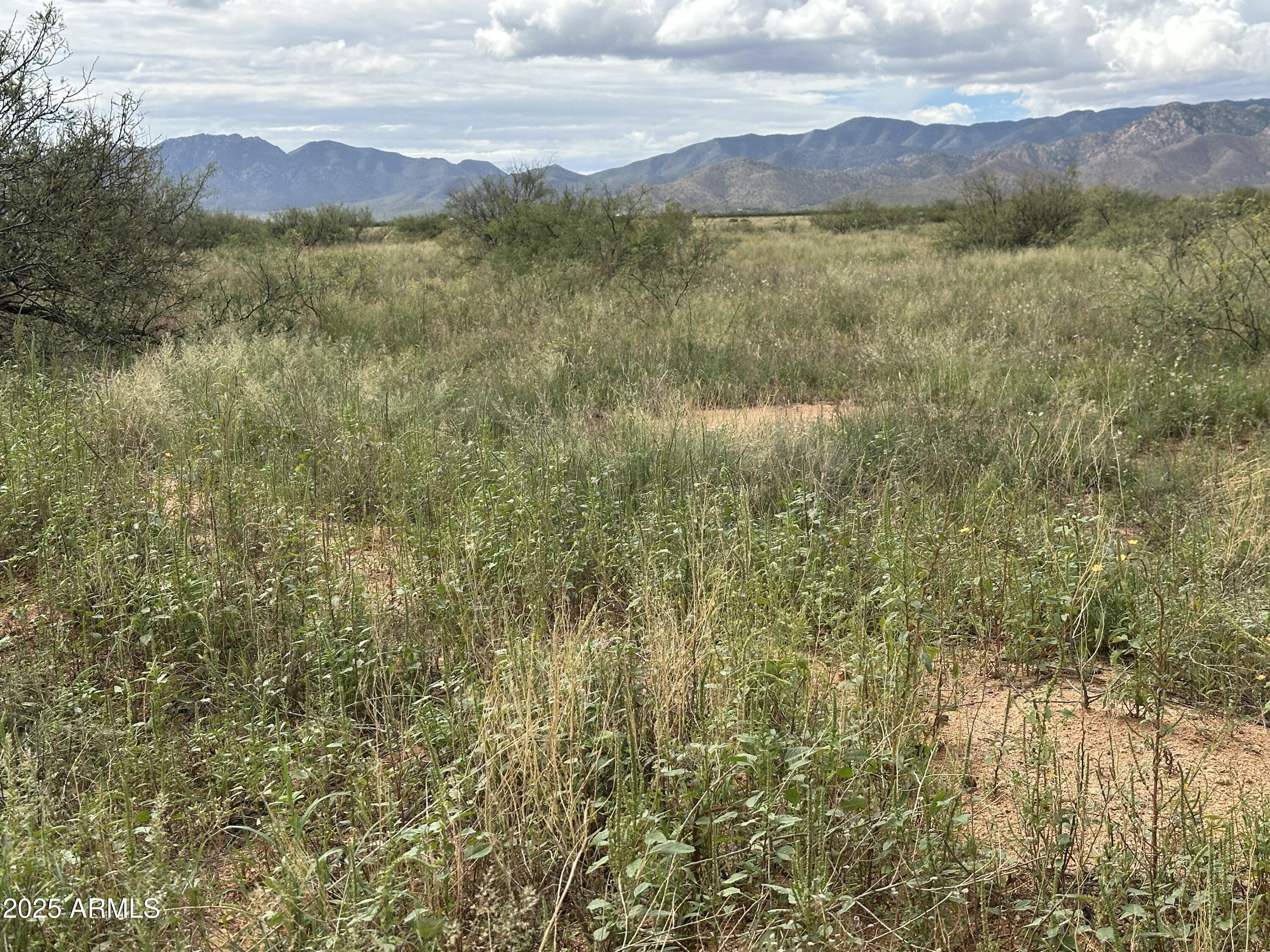 TBD N Central (5 Acres) Road -