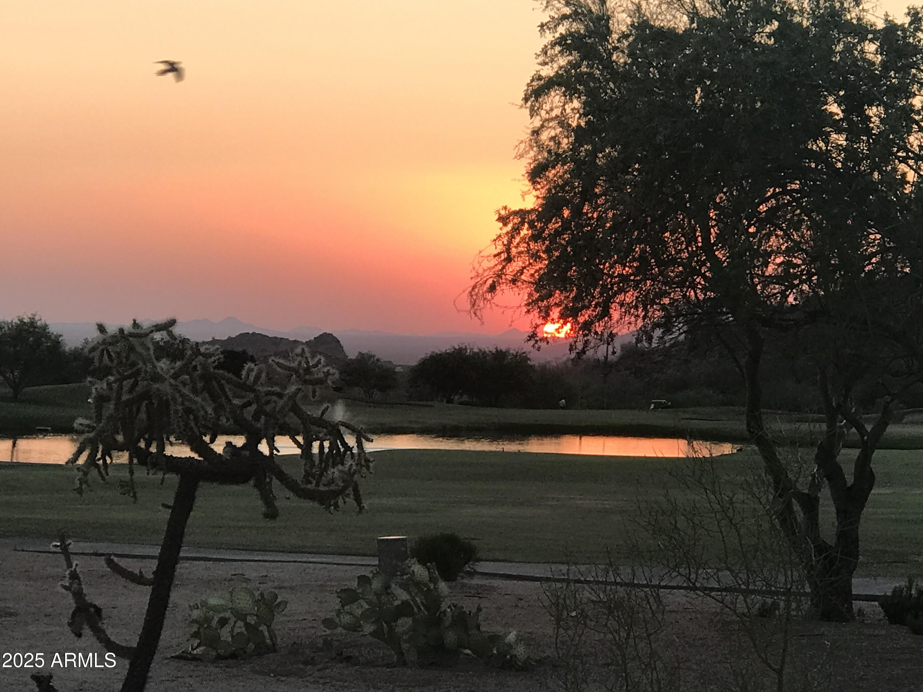 3846 N DESERT OASIS Circle