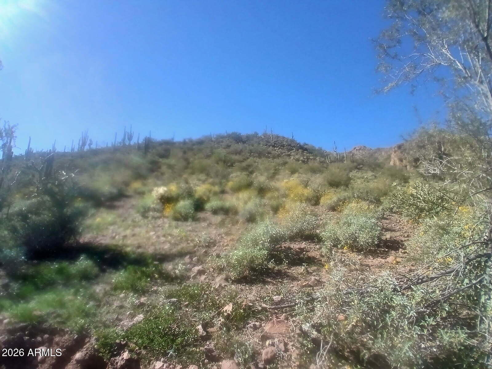 PLEASANT COUNTRY RANCHES - Land