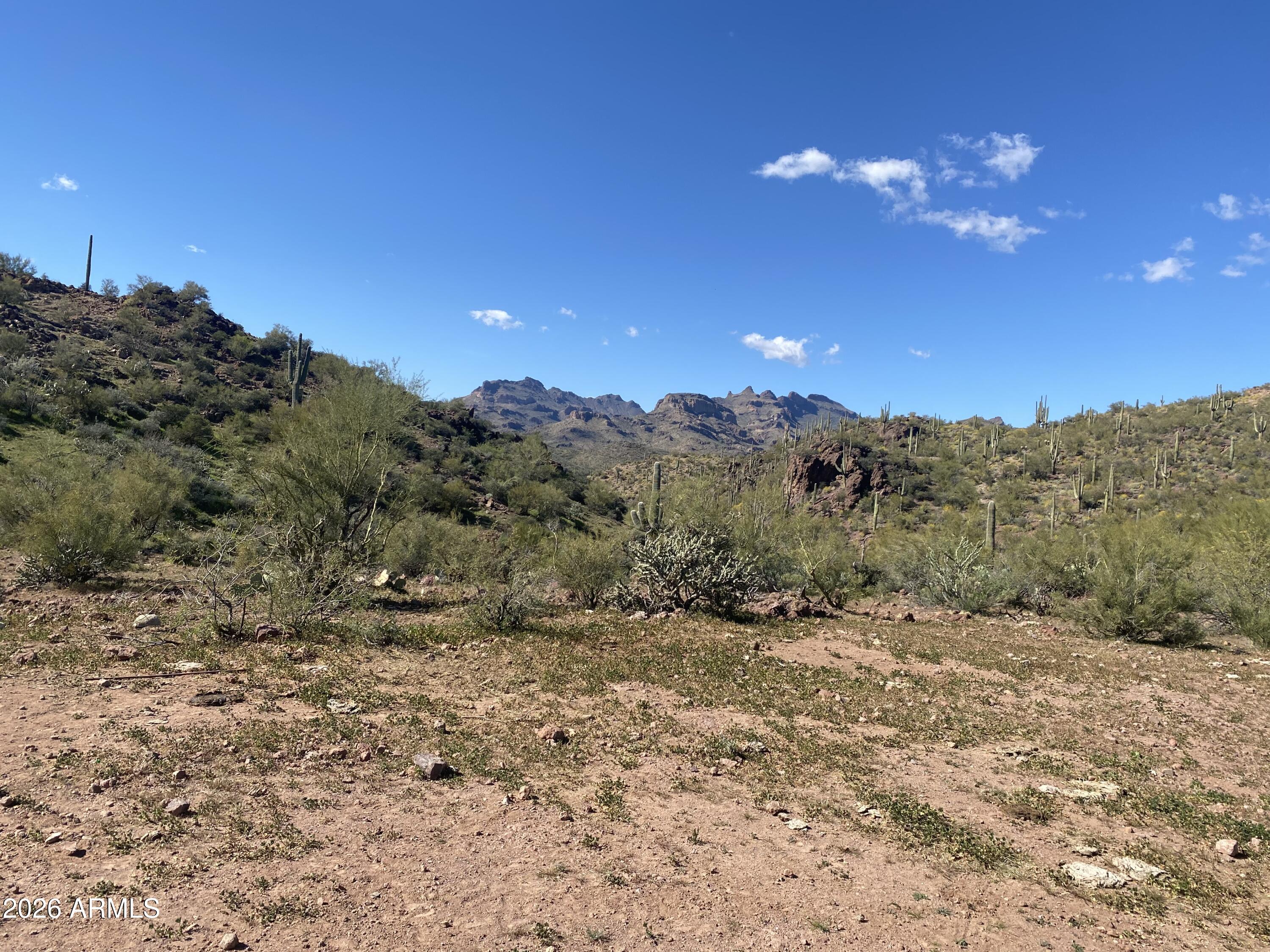 PLEASANT COUNTRY RANCHES - Land