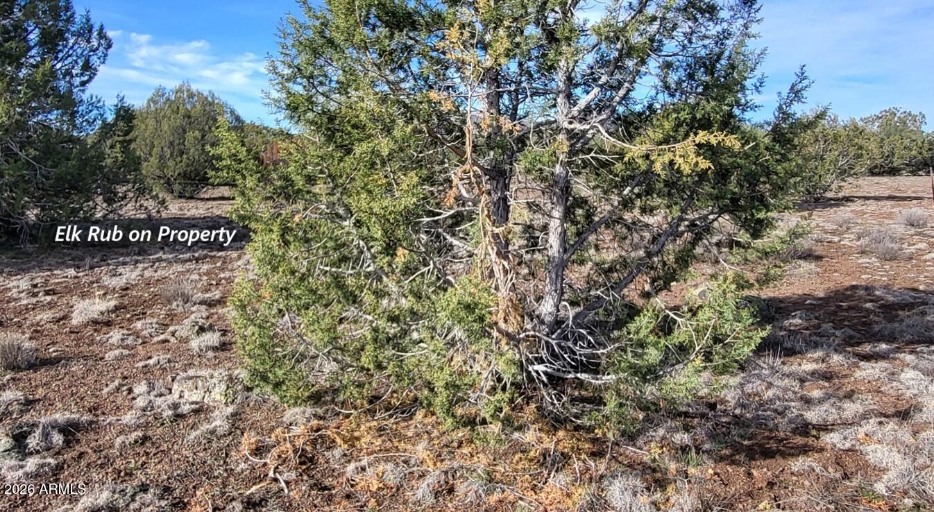 Westwood Ranches - Residential