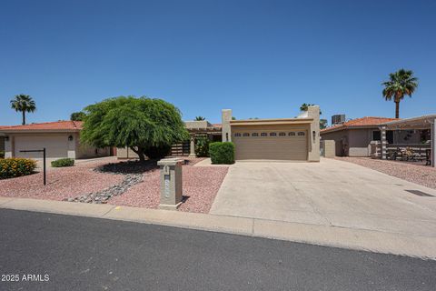 25809 S HOLLYGREEN Drive Sun Lakes AZ 85248