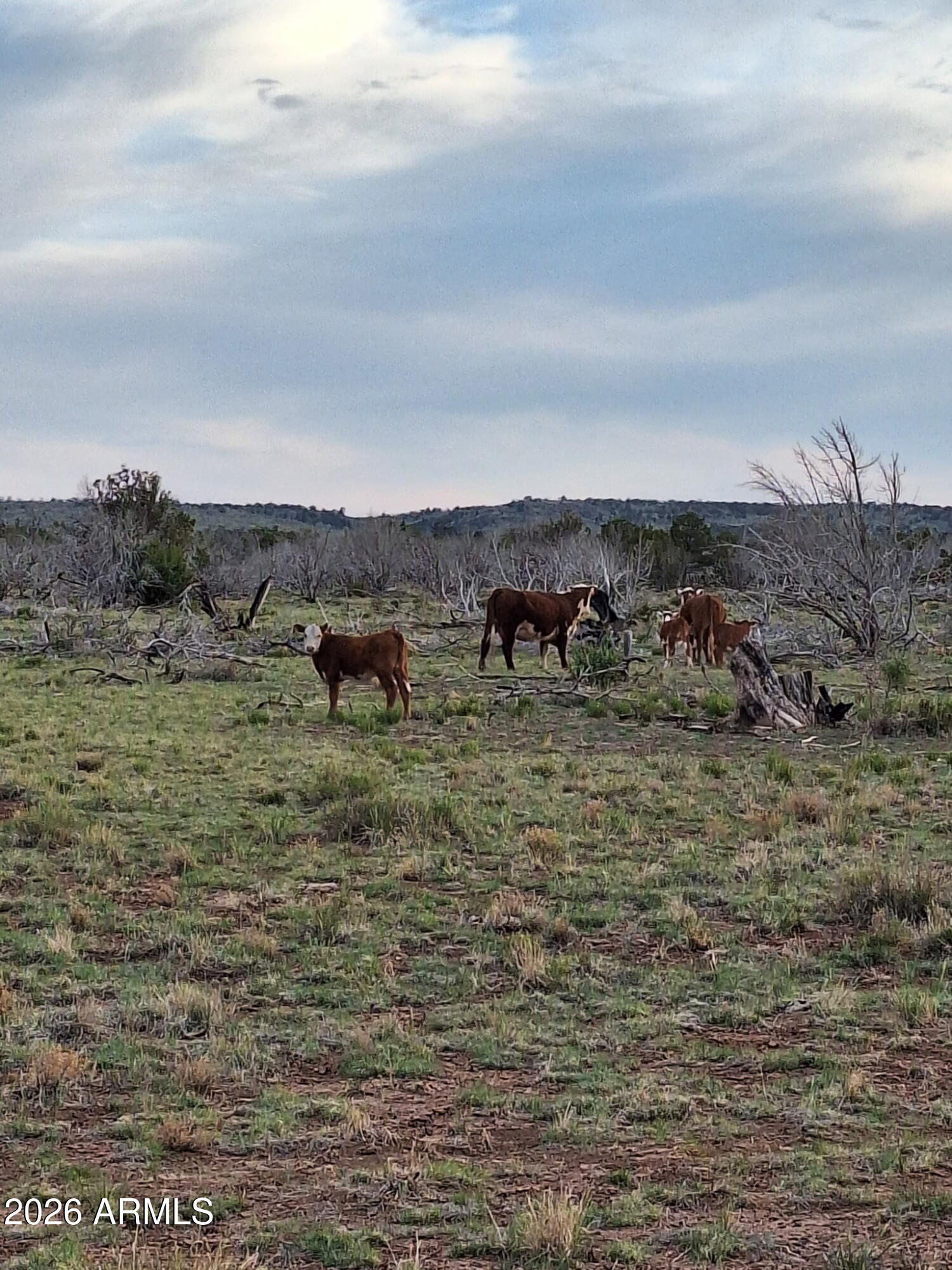 3904 S Santa Clara Road