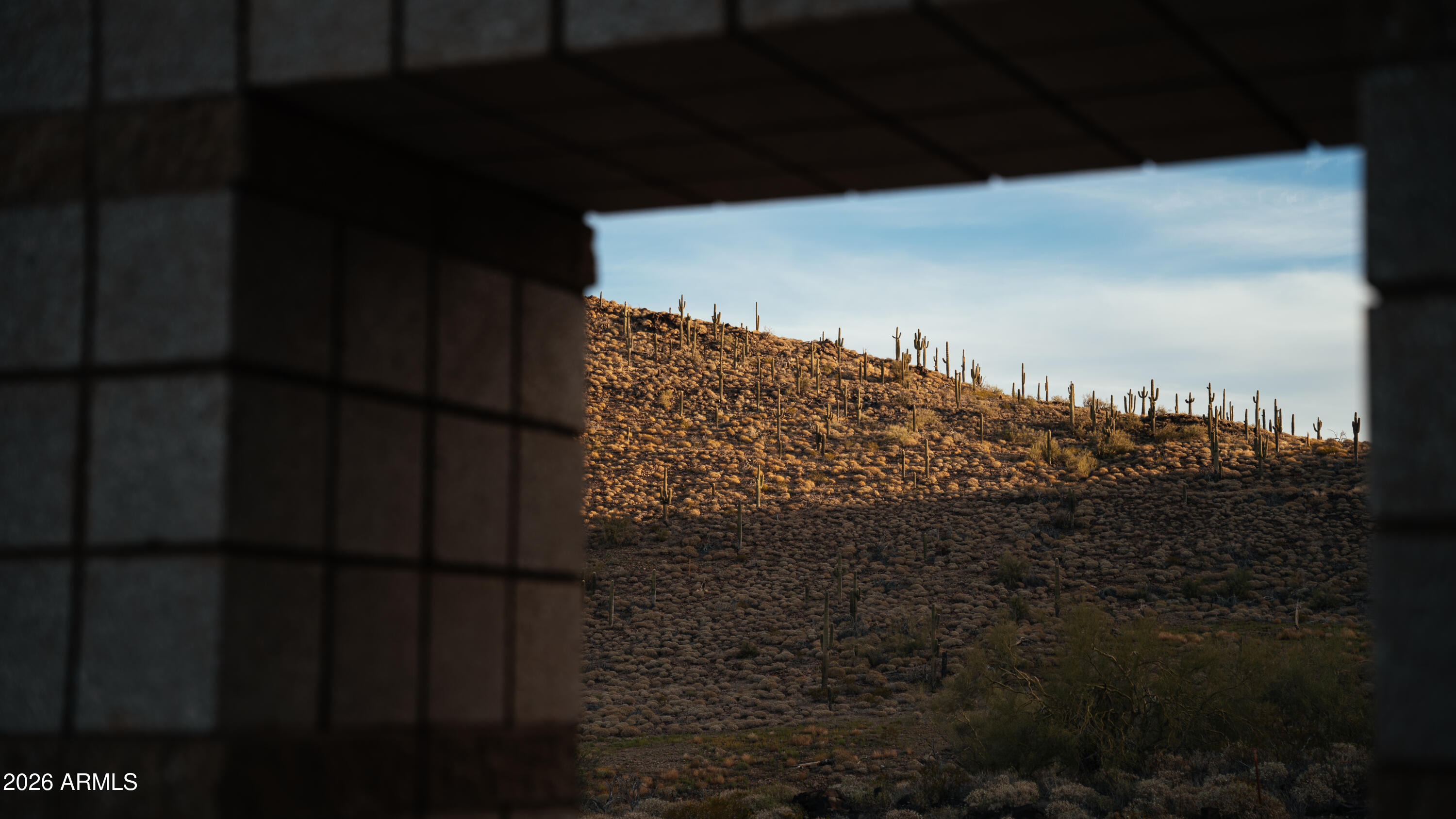 2439 W DONATELLO Drive 16