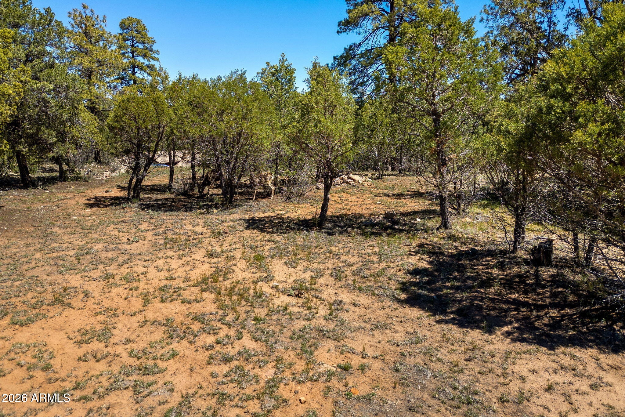 MOGOLLON AIR PARK UNIT 3 - Land