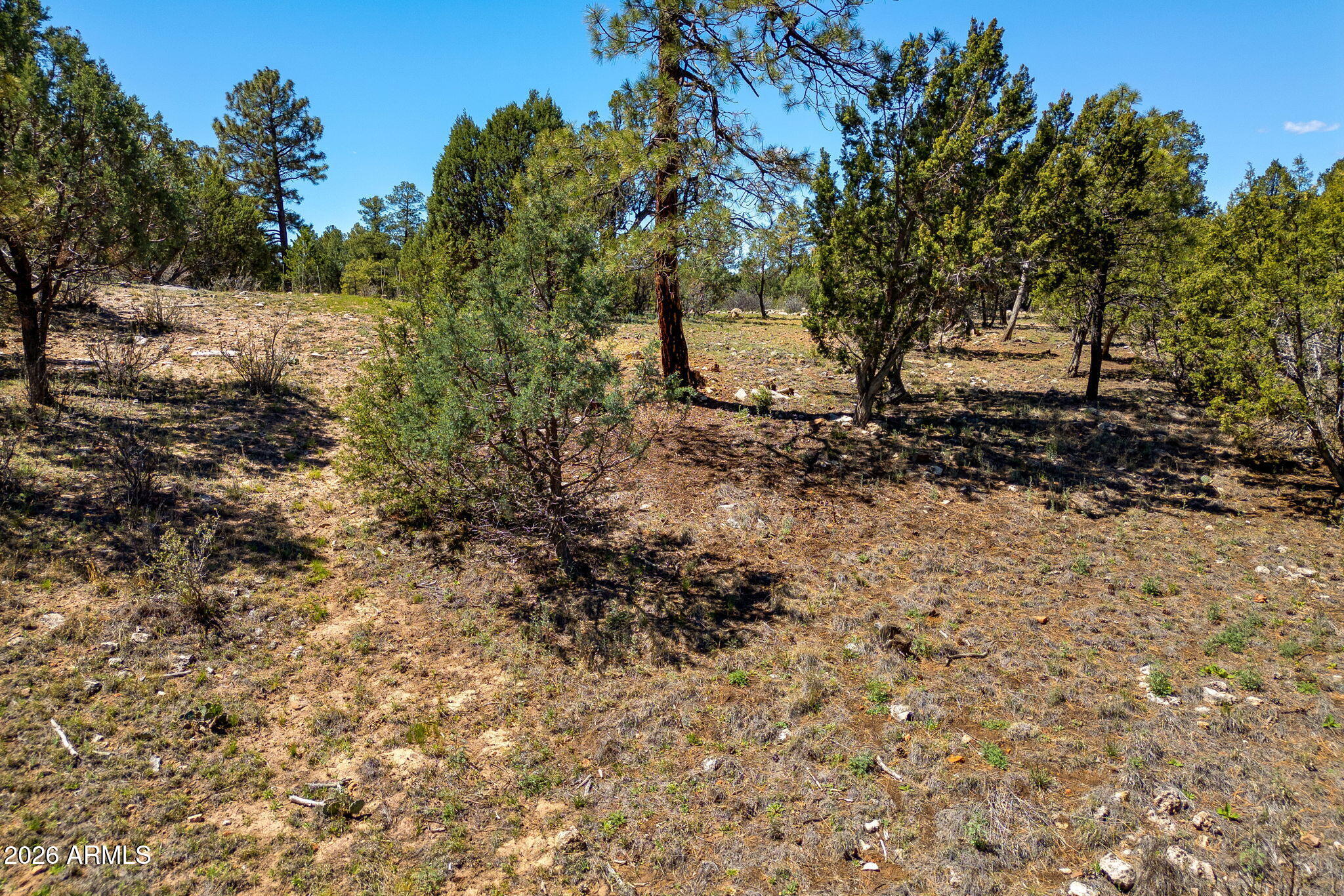MOGOLLON AIR PARK UNIT 3 - Land