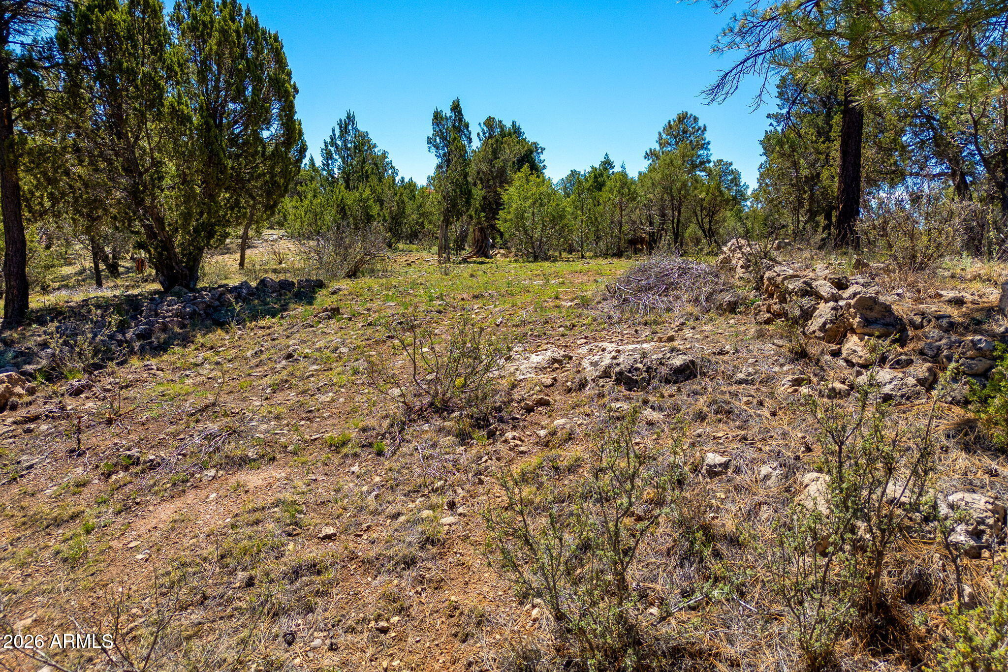 MOGOLLON AIR PARK UNIT 3 - Land