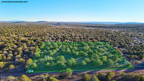 3592 W BETTY JO Way 490 Williams AZ 86046