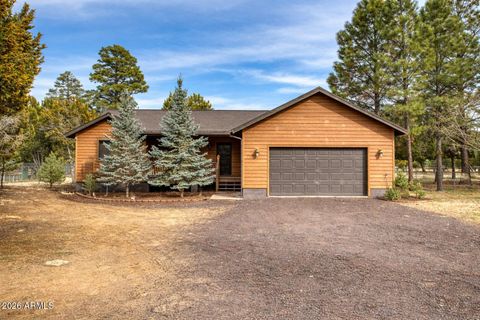 2929 PINE RIM Road Overgaard AZ 85933