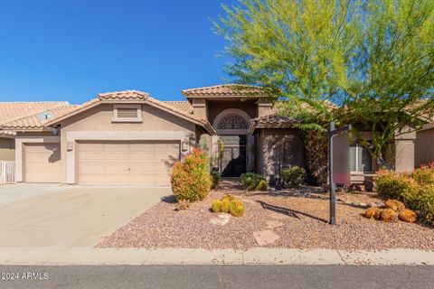 A home in Gold Canyon