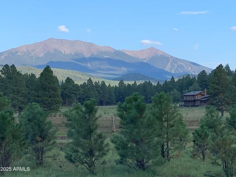 17622 Crowley Trail Flagstaff AZ 86001