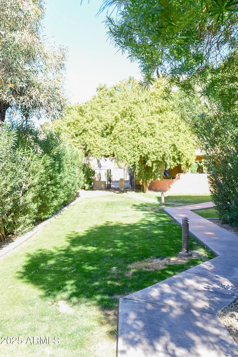 A home in Phoenix