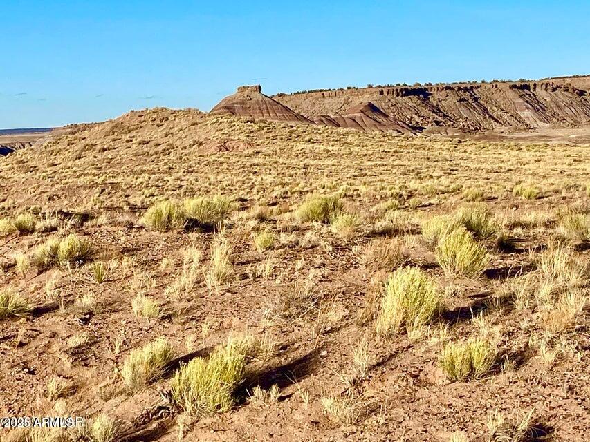 Carrizo Ranch Lot 297 41.17 Acres -- -