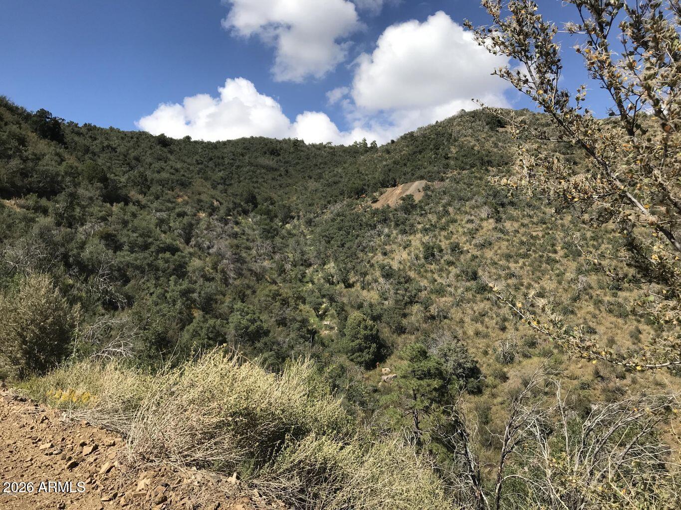 22431 S GLADIATOR MINE Road -