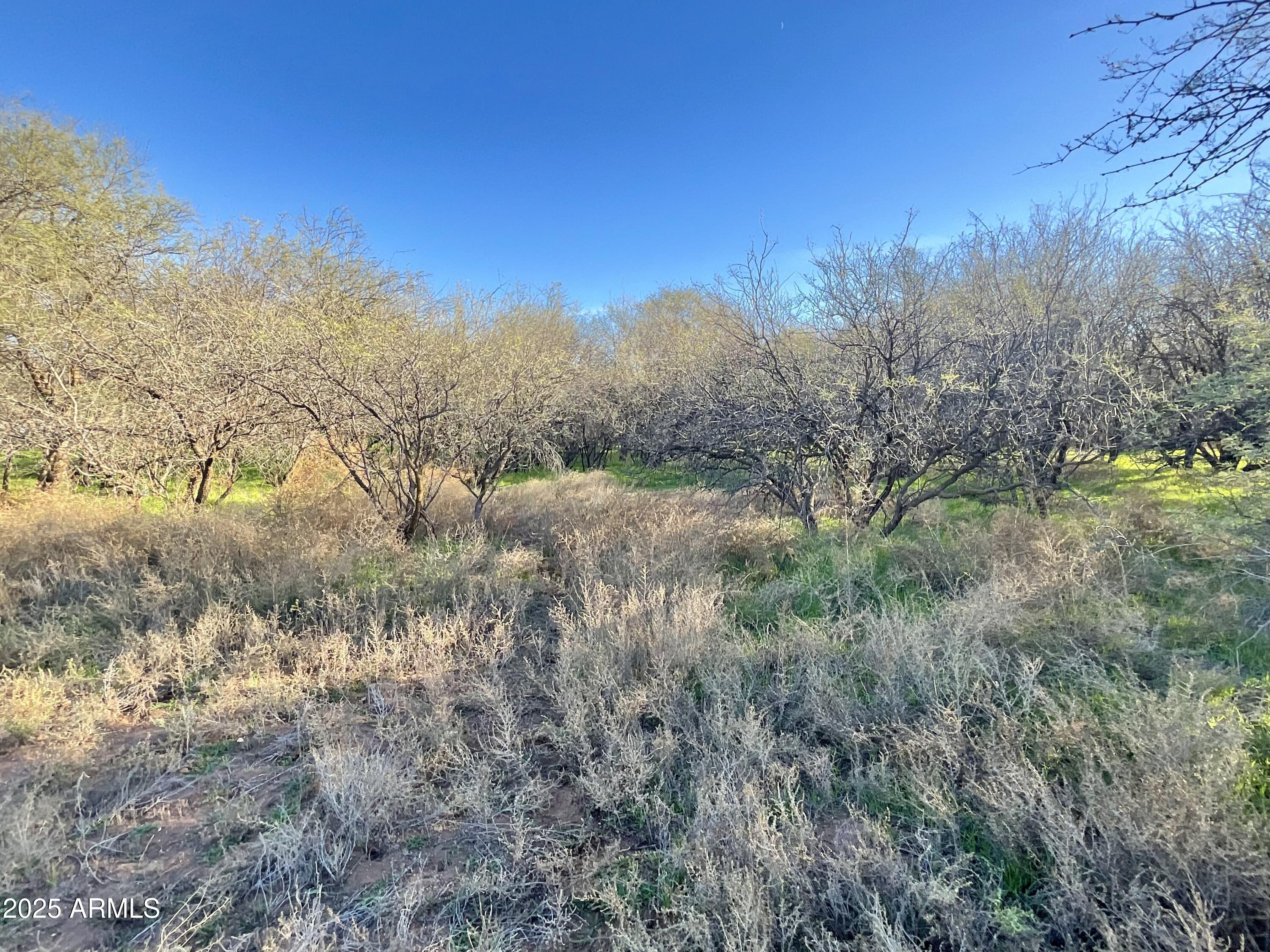 036L Caitlin Lane 036L