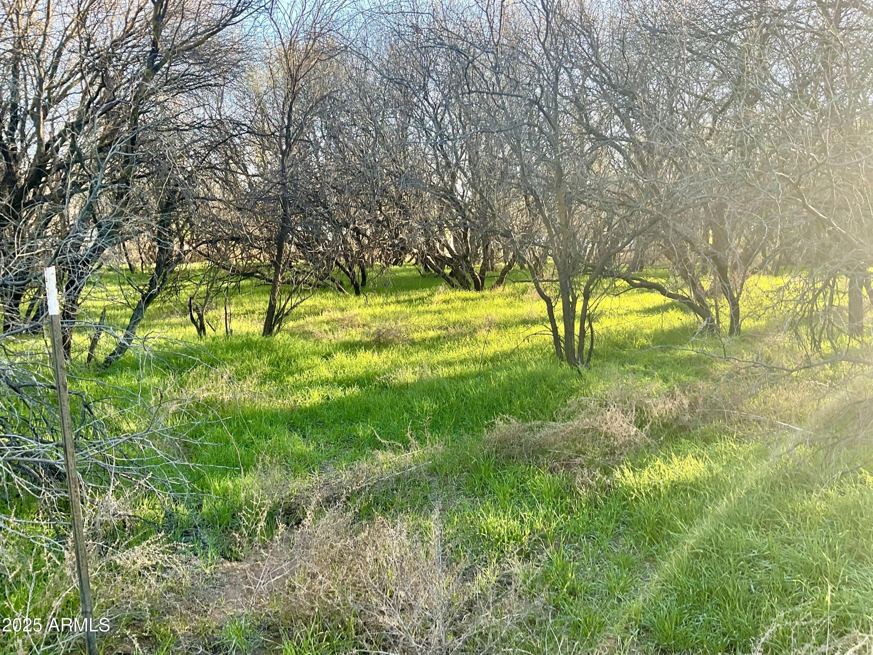 036L Caitlin Lane 036L