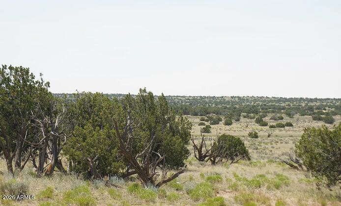 WOODLAND VALLEY RANCH UNIT 2 - Land