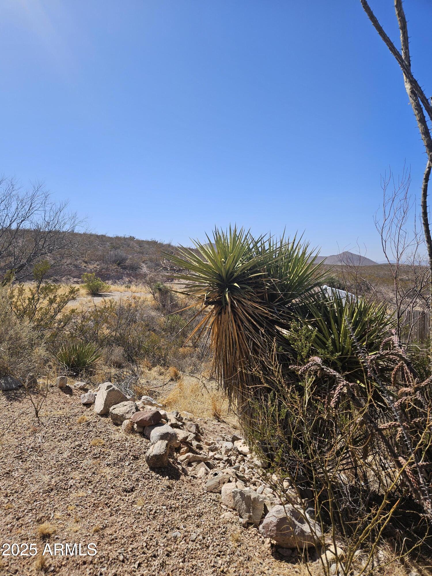 Desert Hills Estate Mobile Home Park - Residential