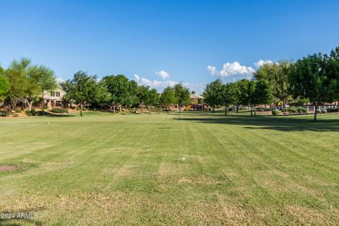 A home in Queen Creek