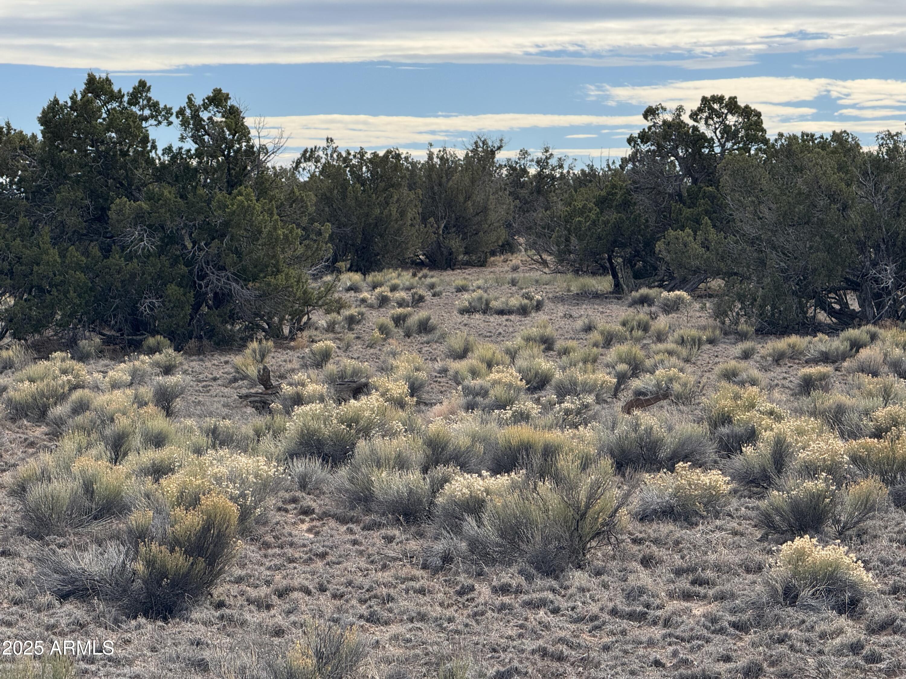 Lot 338 Sierra Highlands Ranch -- 338