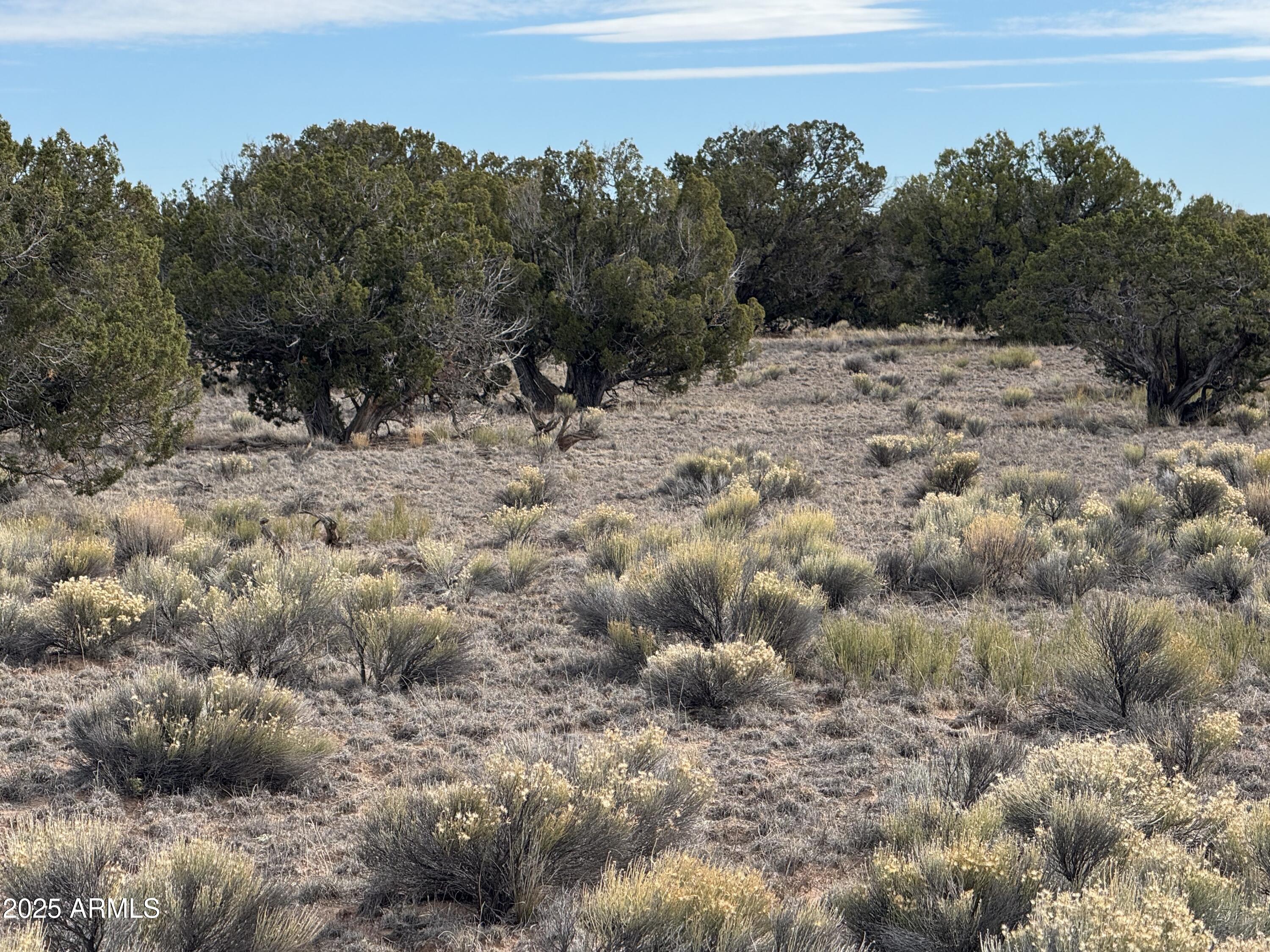 Lot 338 Sierra Highlands Ranch -- 338