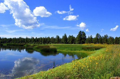 A home in Pinetop