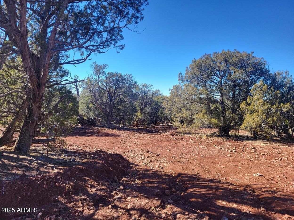 Listing image 8