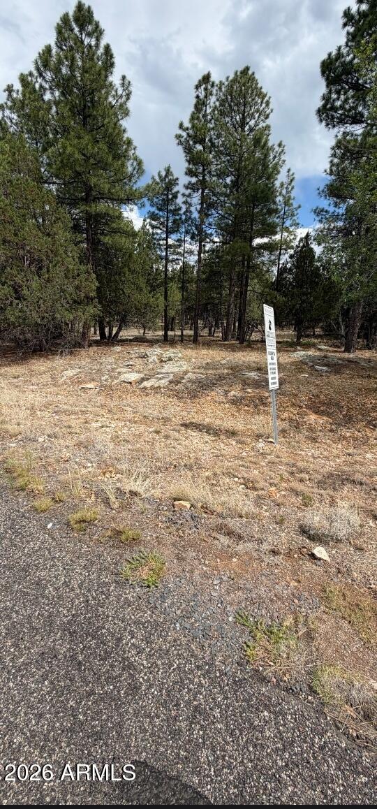 2989 ROBIN Lane 0