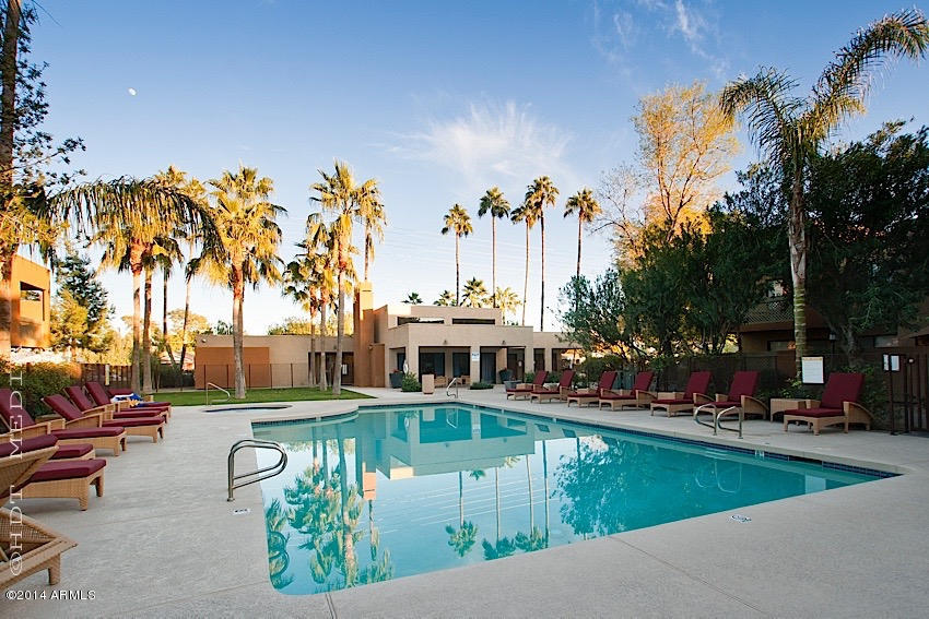 3500 N HAYDEN Road 2205