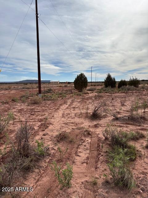 9049 OLD SCHOOL BUS Trail -