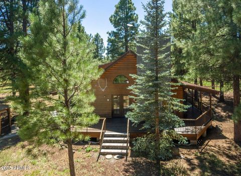 207 BLUE RIDGE Road Mormon Lake AZ 86038