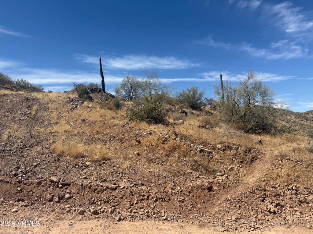 Photo of 1916 E Mariola Way #-, Phoenix, AZ 85086 (MLS # 7049806)
