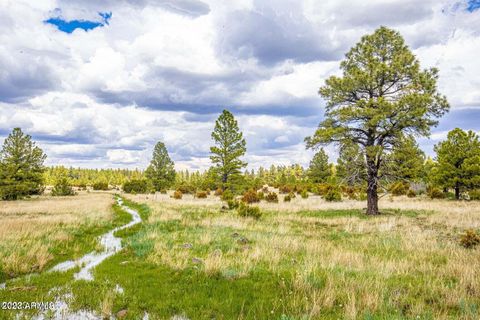 000 Dipping Vat Spring Fire Road - Vernon AZ 85940