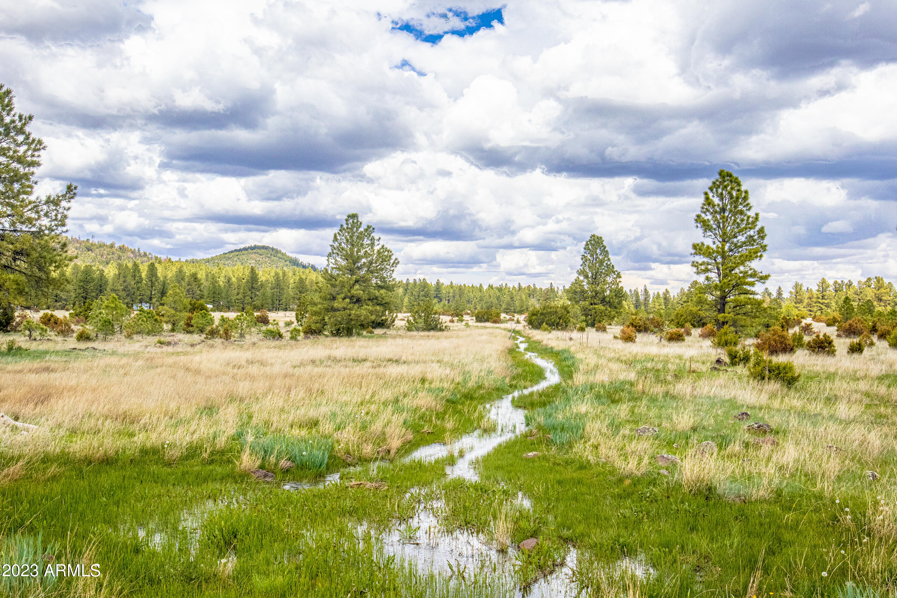 000 Dipping Vat Spring Fire Road -