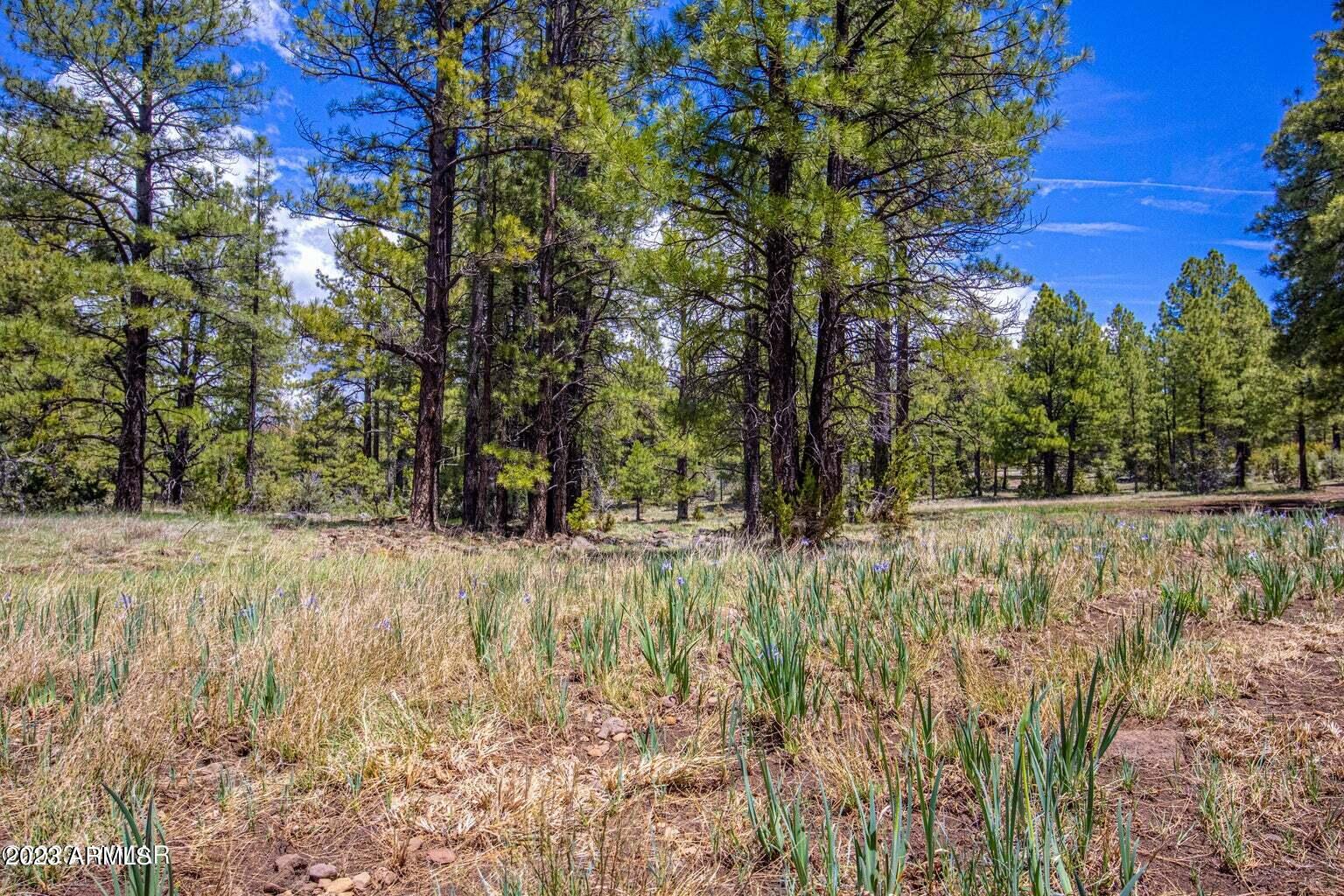 000 Dipping Vat Spring Fire Road -