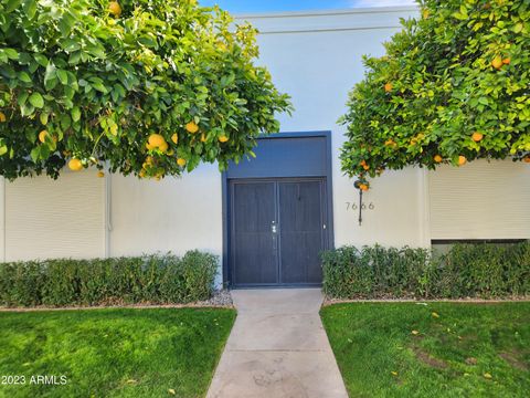 A home in Scottsdale