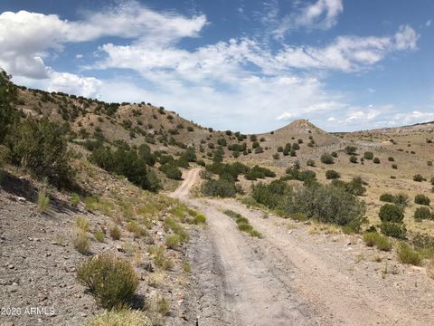 0 Lot N5338 -- - Concho AZ 85924