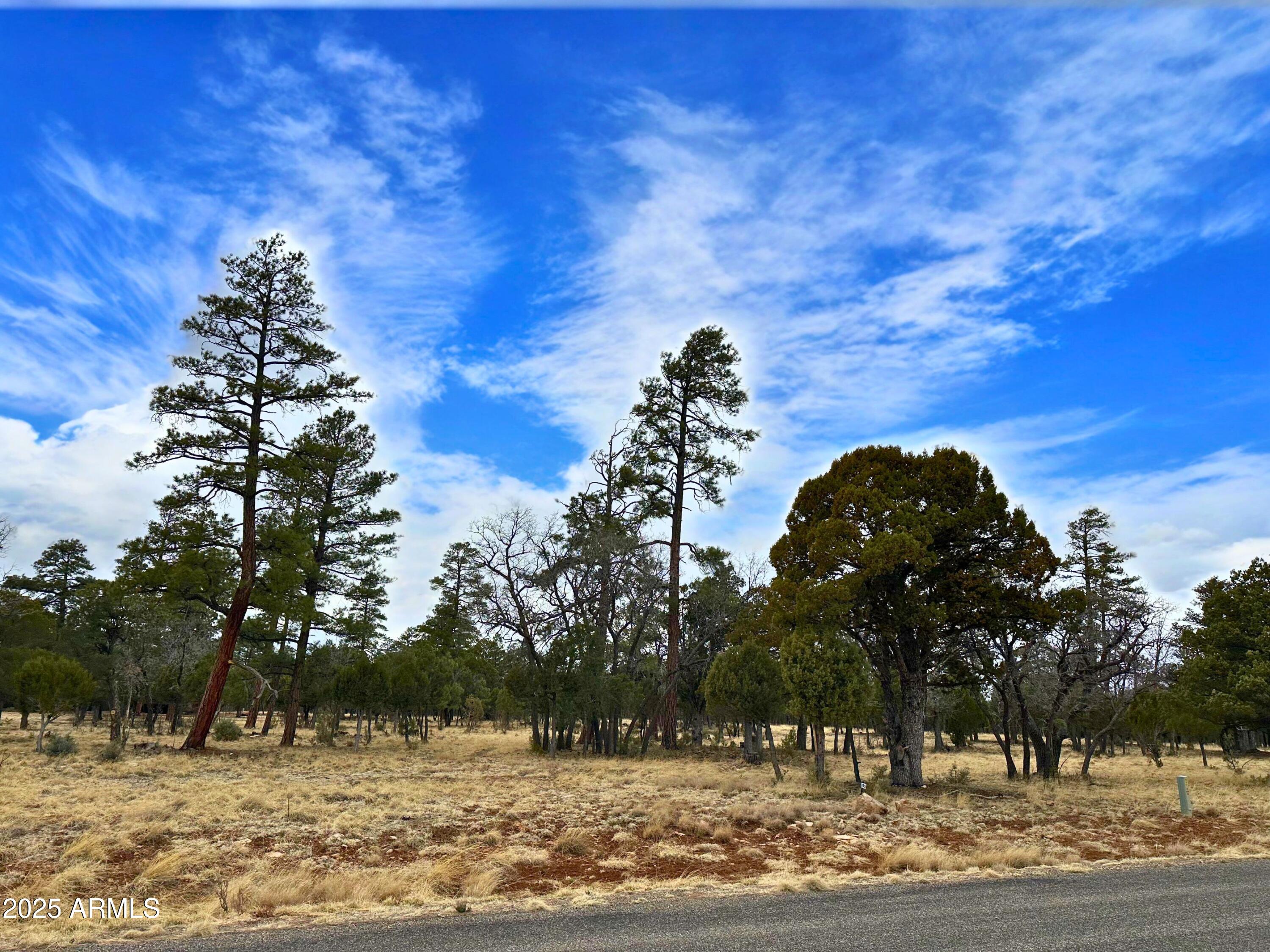 4109 DURANGO Drive 295