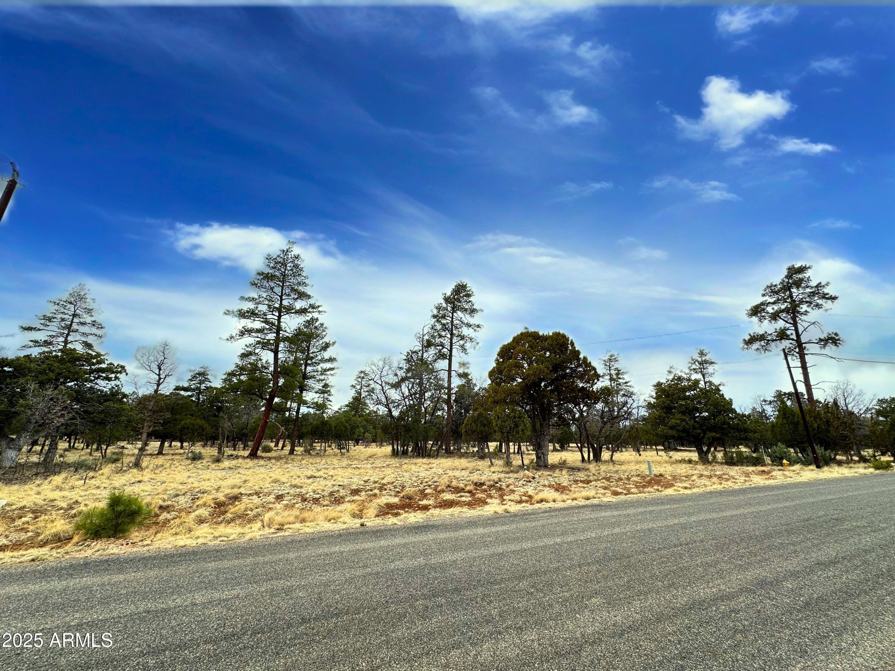 4109 DURANGO Drive 295