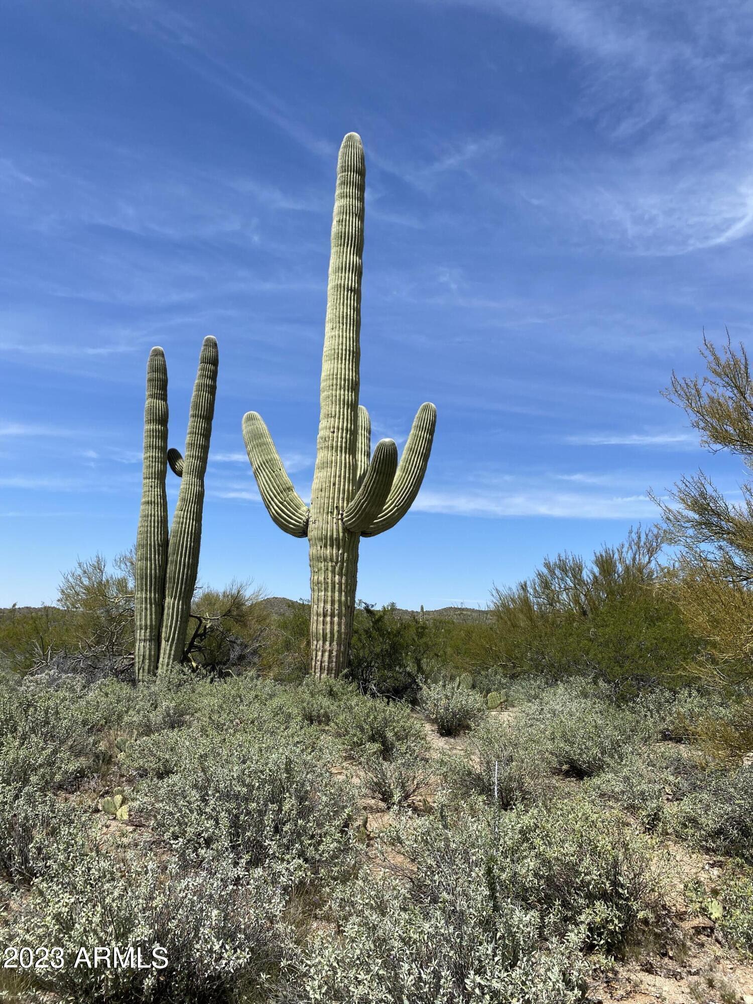 160acres S Guild Road -