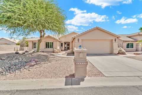 24511 S Saddletree Drive Sun Lakes AZ 85248