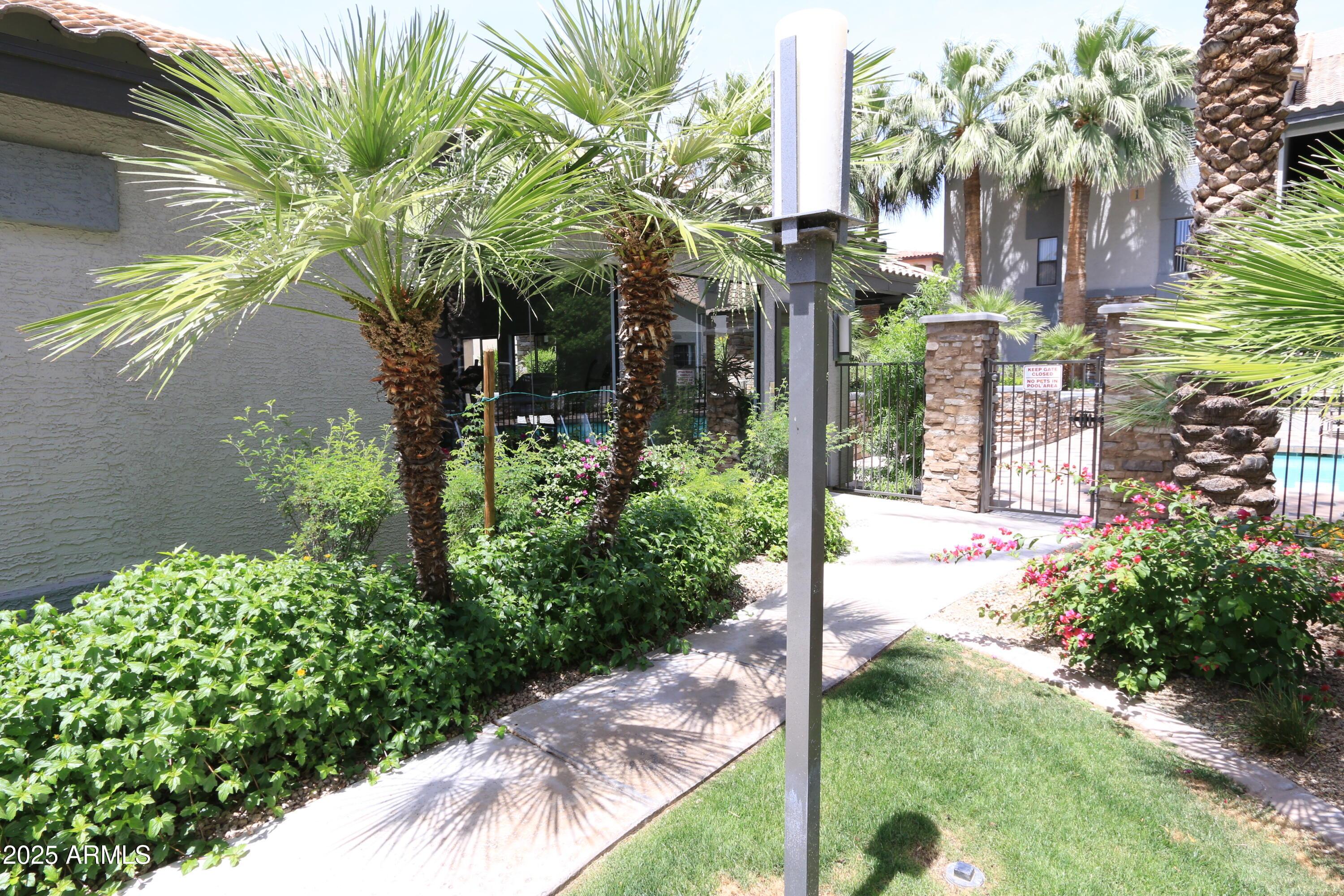 2025 E Campbell Avenue Apt 103