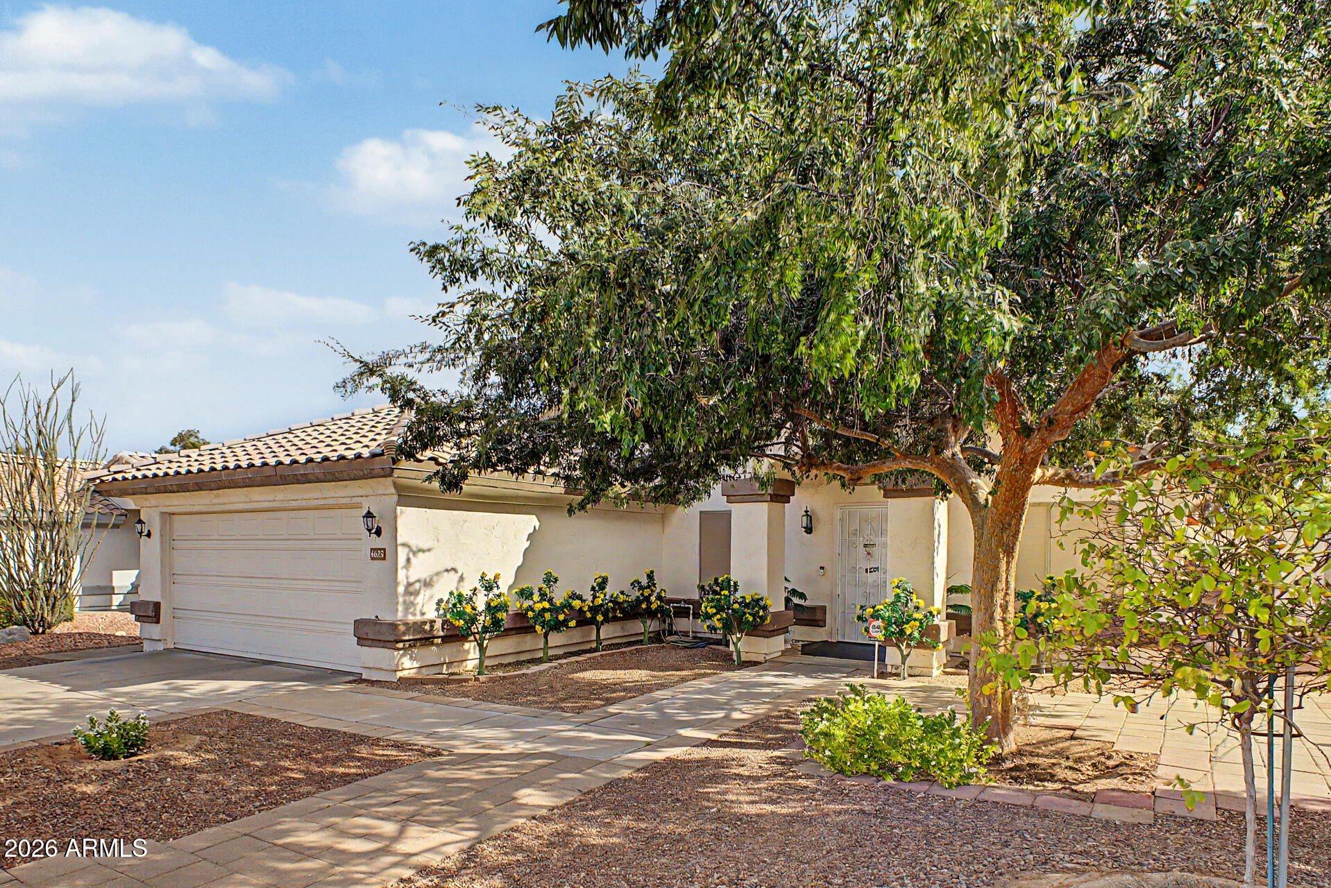 4625 E LAVENDER Lane